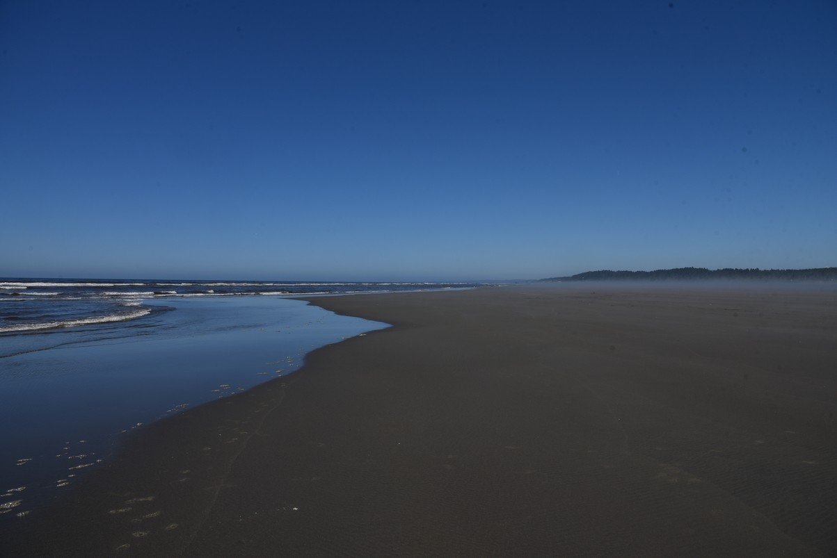 dsc_9230_fs.jpg