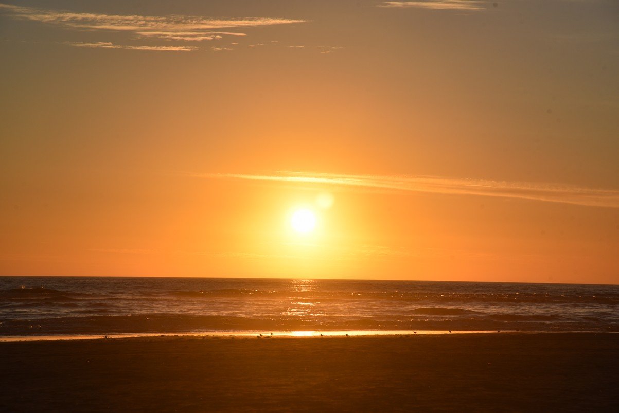 dsc_9260_fs.jpg