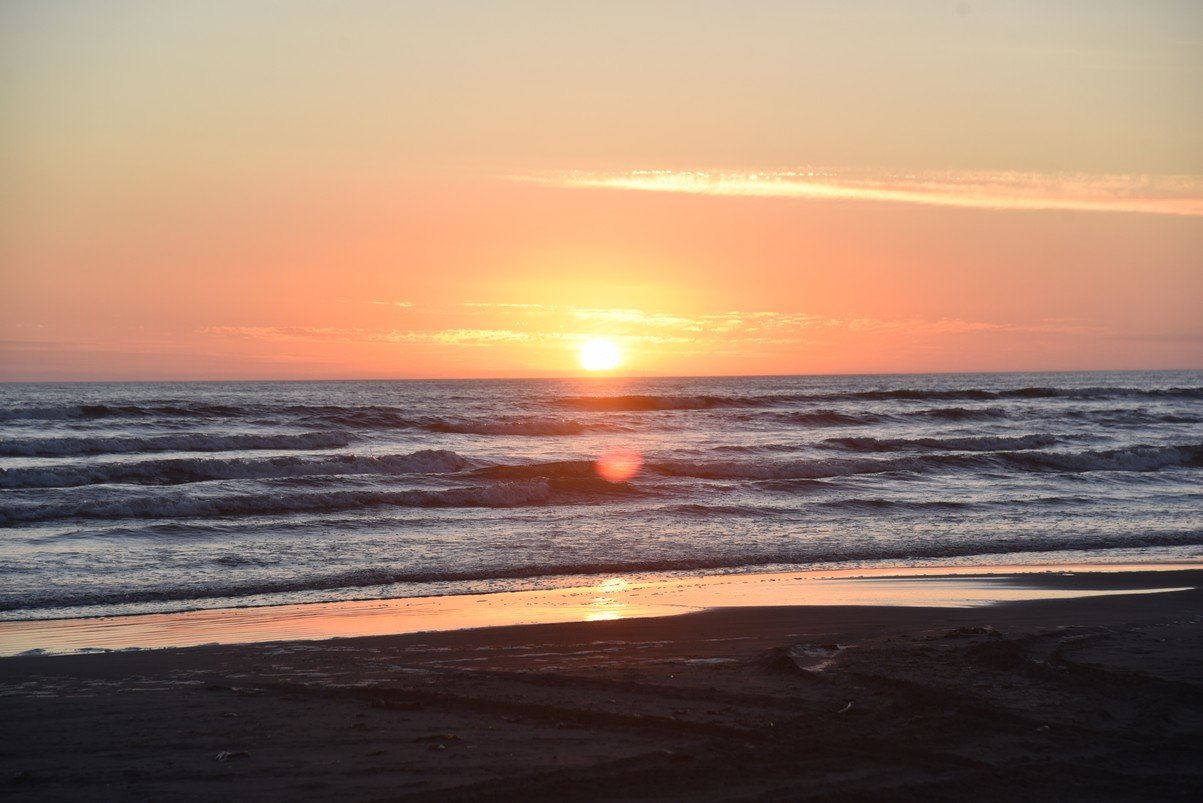 dsc_9264_fs.jpg