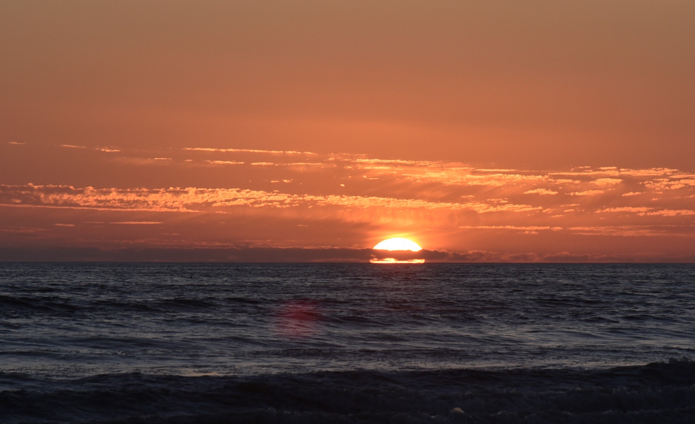 dsc_9268crop.jpg