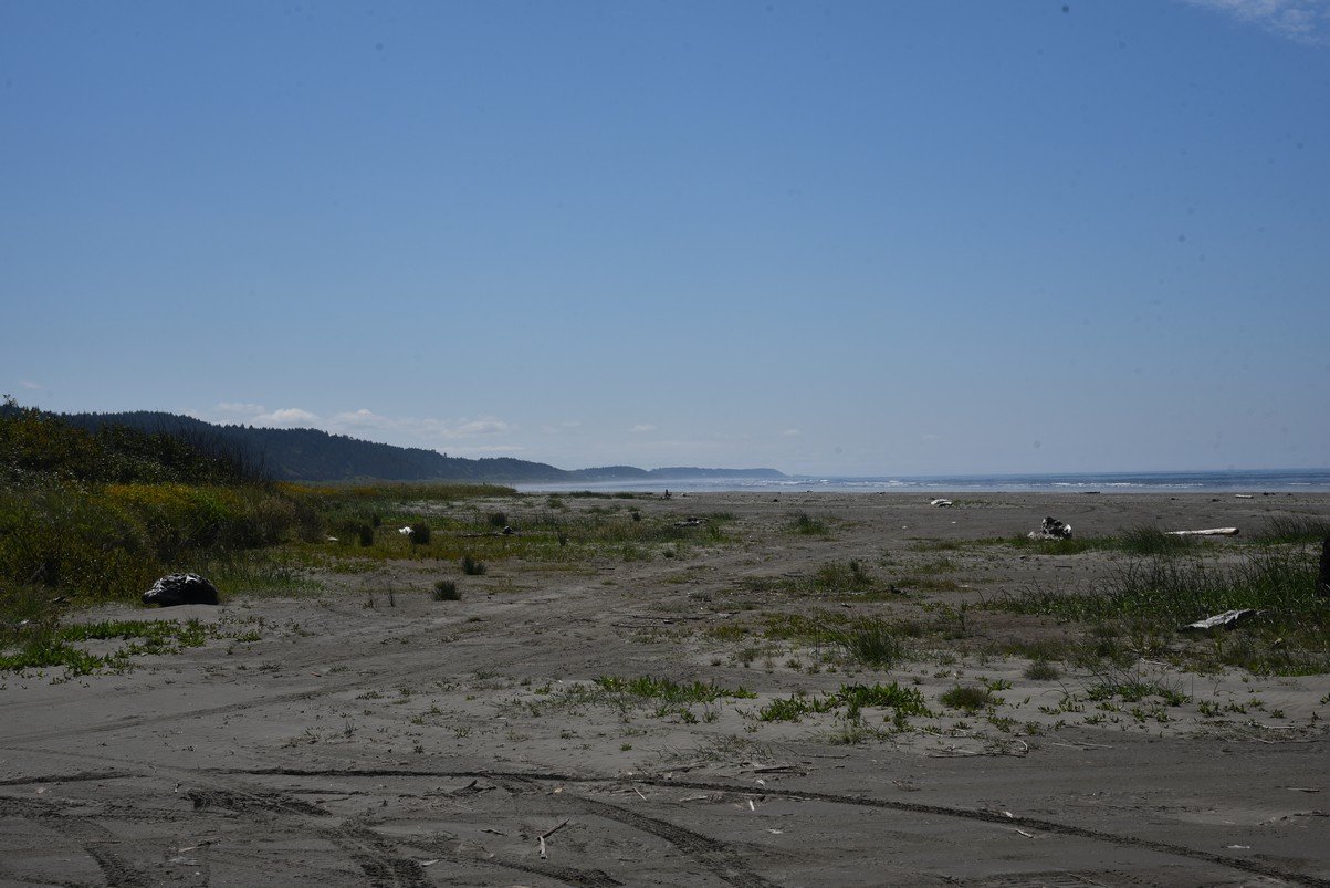 dsc_9294_fs.jpg