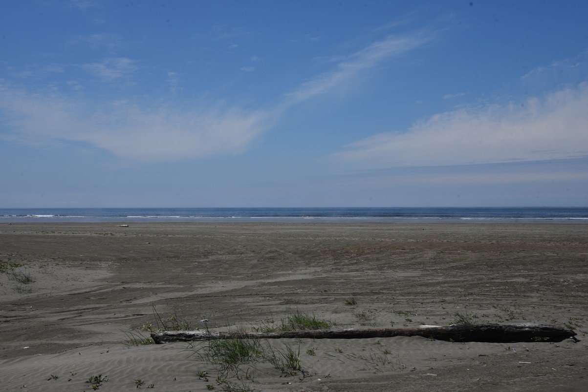 dsc_9297_fs.jpg