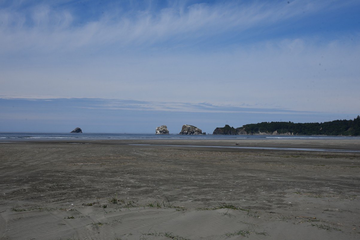 dsc_9301_fs.jpg