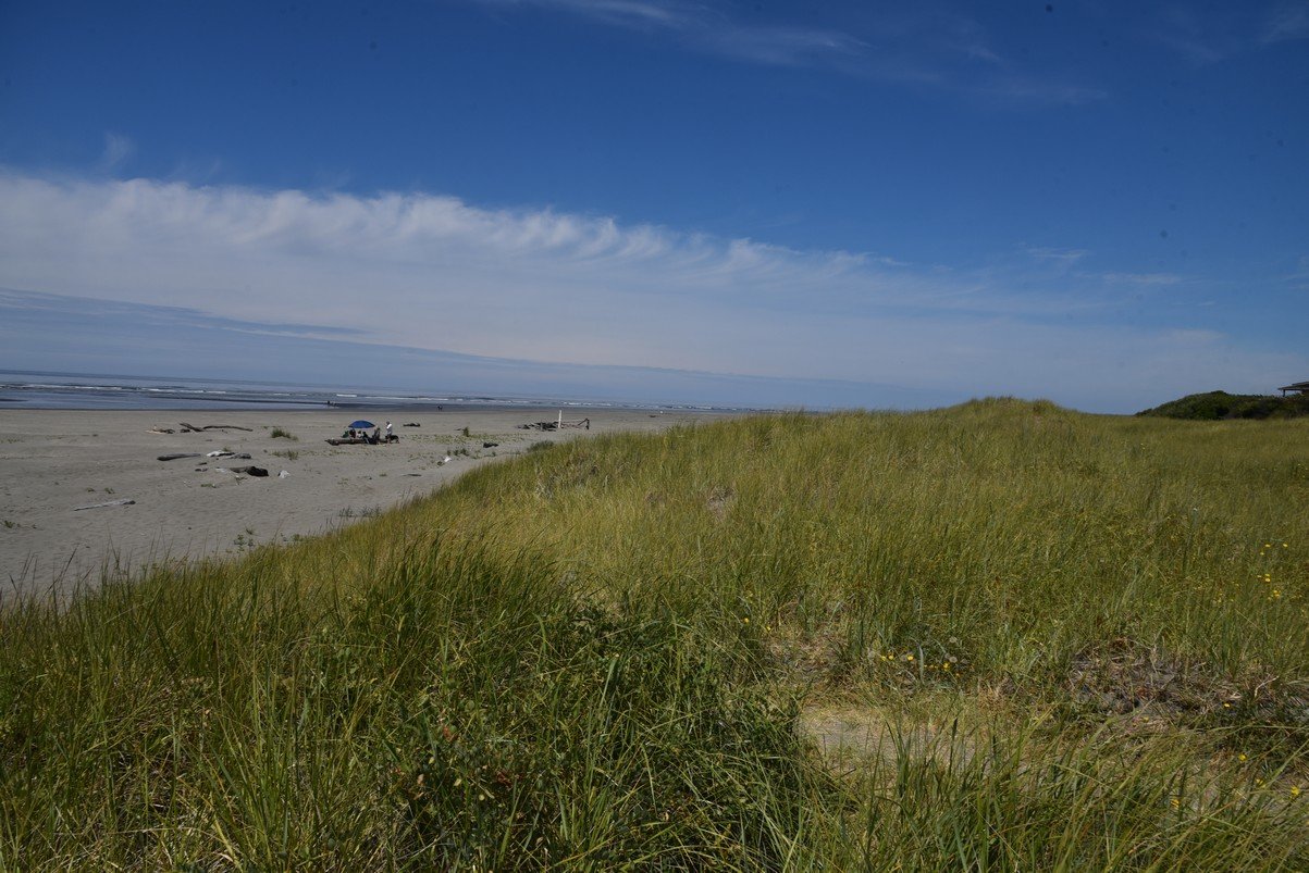 dsc_9321_fs.jpg
