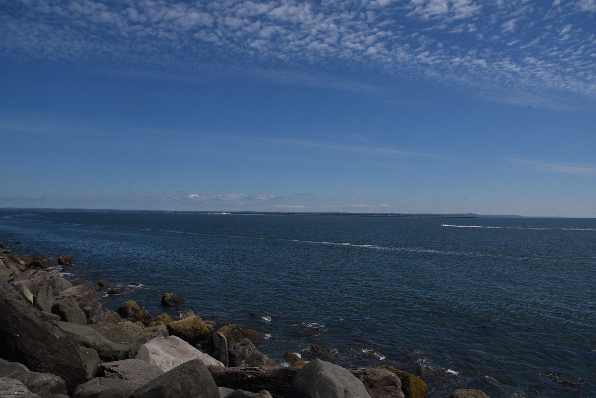 dsc_9340_fs.jpg