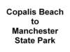 copalistomanchester_small.jpg