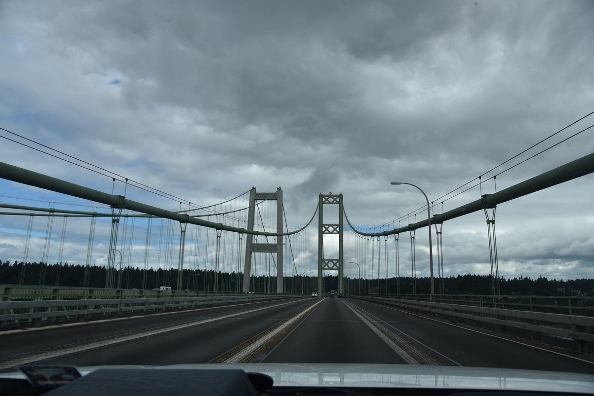 dsc_9442_fs.jpg