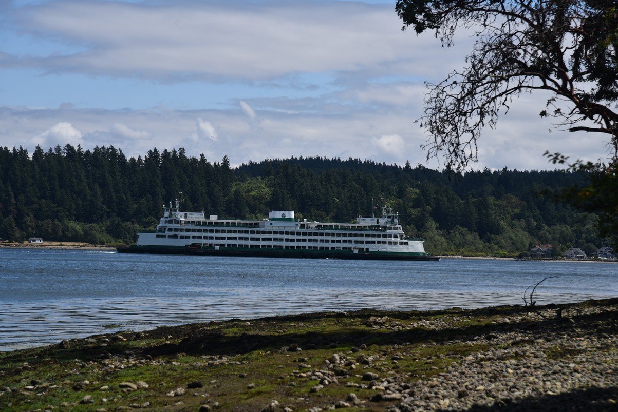 dsc_9455_fs.jpg