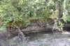 dsc_9457_fs_small.jpg