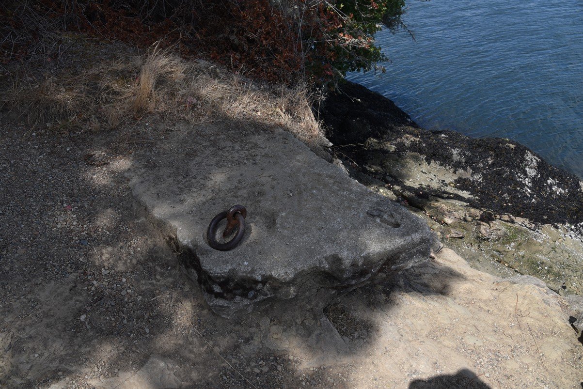 dsc_9474_fs.jpg