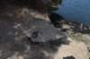 dsc_9474_fs_small.jpg