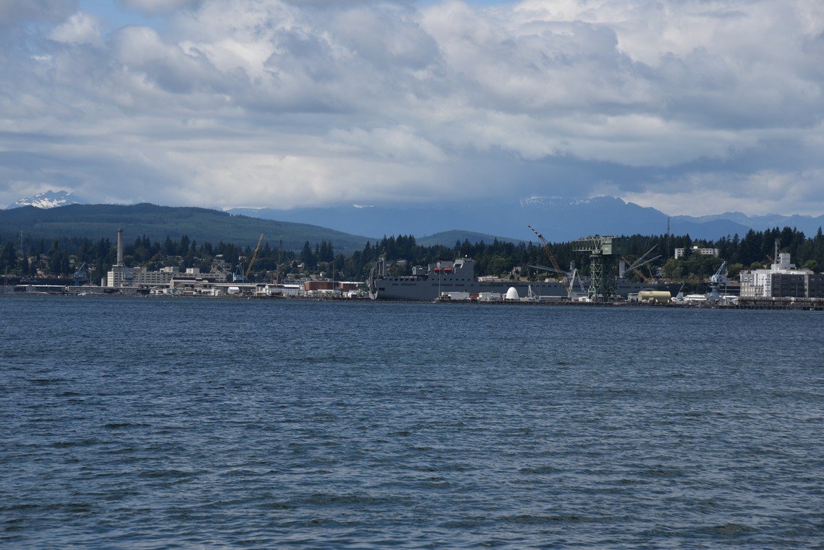 dsc_9499_fs.jpg