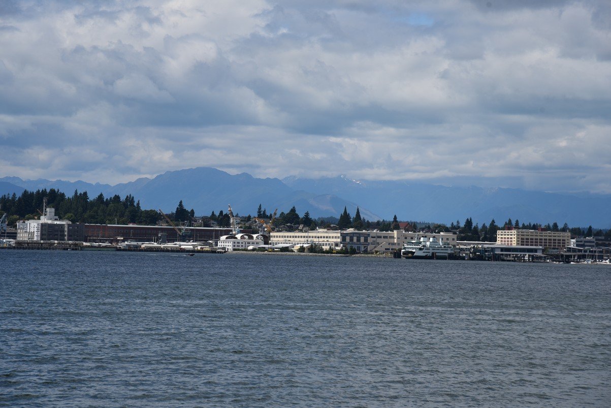 dsc_9501_fs.jpg