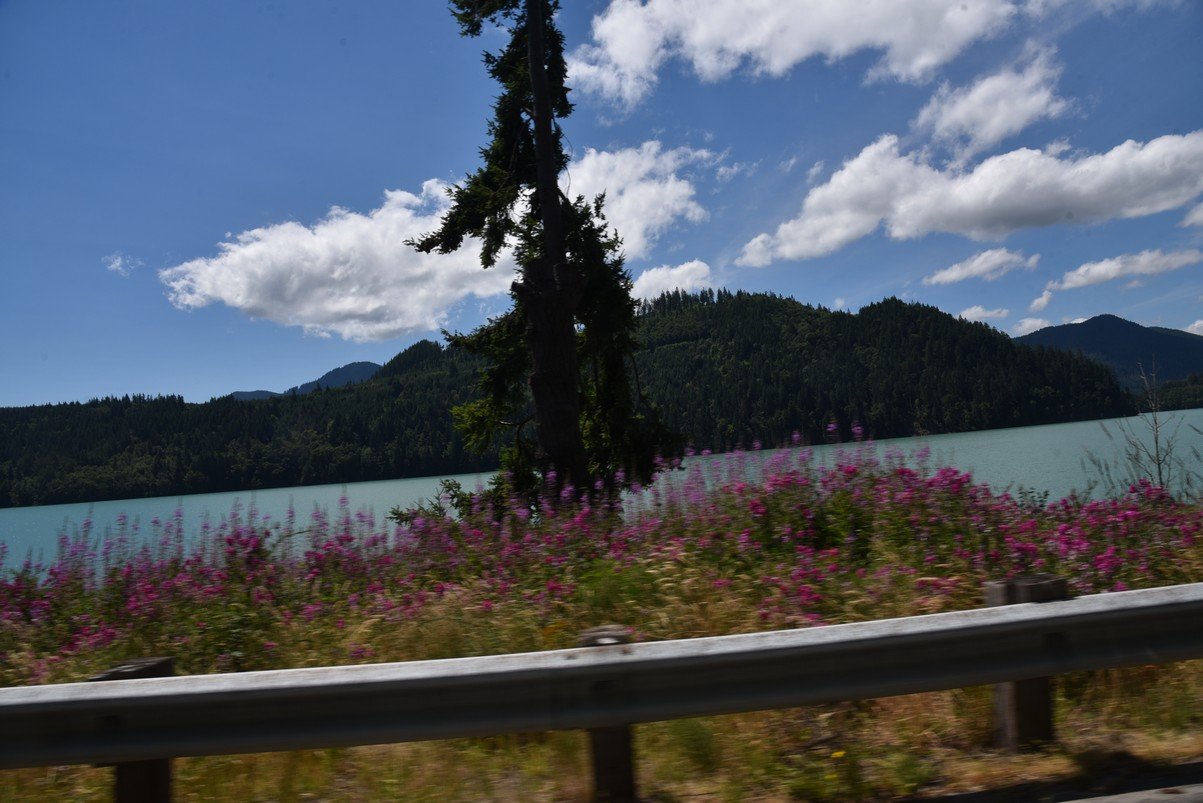 dsc_9581_fs.jpg