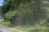 dsc_9591elbe_small.jpg