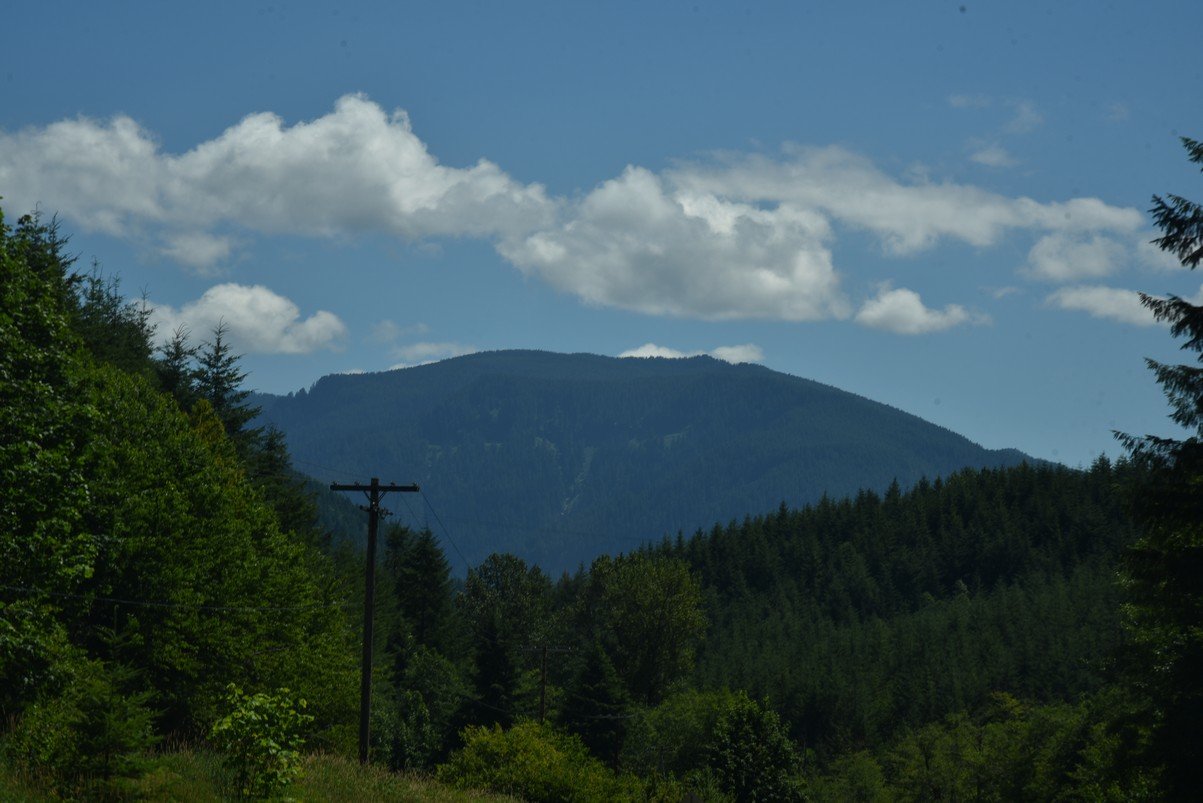 dsc_9614_fs.jpg