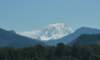 dsc_9622_fscrop_small.jpg