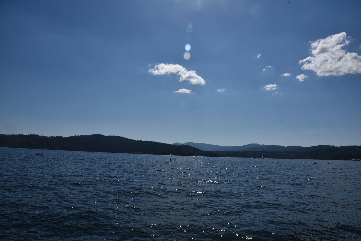 dsc_6272_fs.jpg