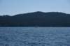 dsc_6278_fs_small.jpg