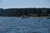 dsc_6280_fs_small.jpg