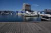 dsc_6286_fs_small.jpg