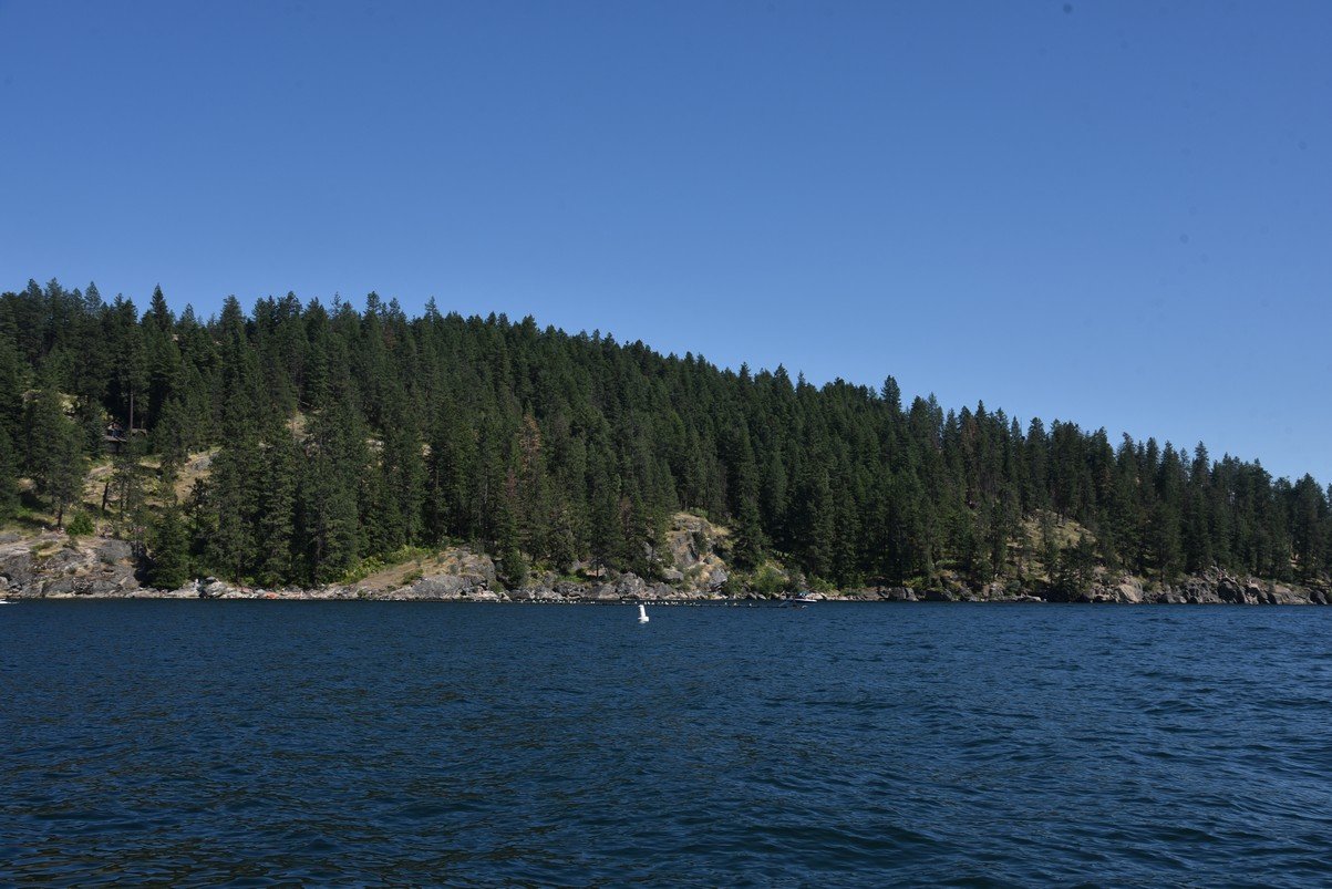 dsc_6288_fs.jpg