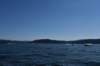 dsc_6291_fs_small.jpg