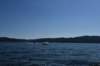 dsc_6292_fs_small.jpg