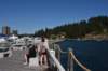 dsc_6303_fs_small.jpg