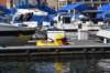 dsc_6306_fs_small.jpg