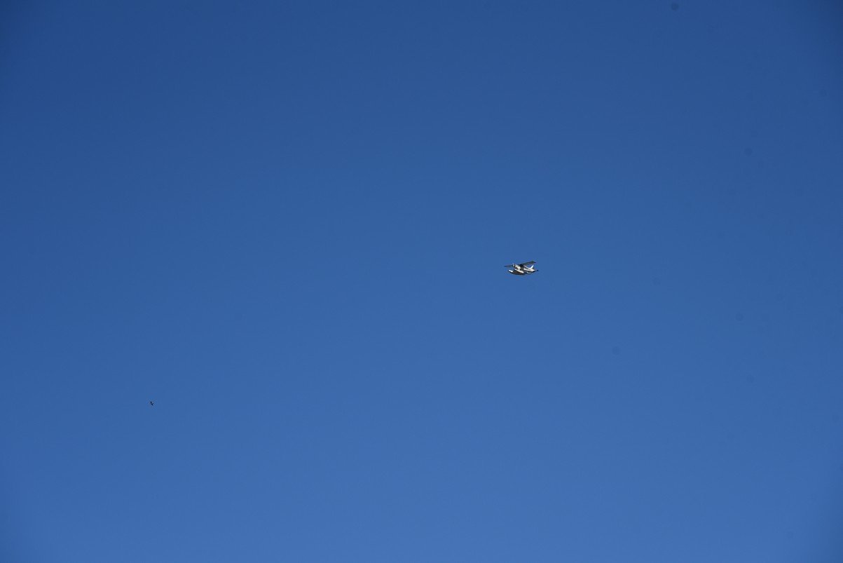 dsc_6319_fs.jpg