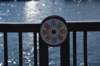 dsc_6330_fs_small.jpg