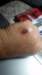 _173140_fs_small.jpg