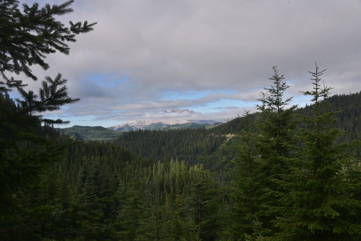 dsc_9652_fs.jpg