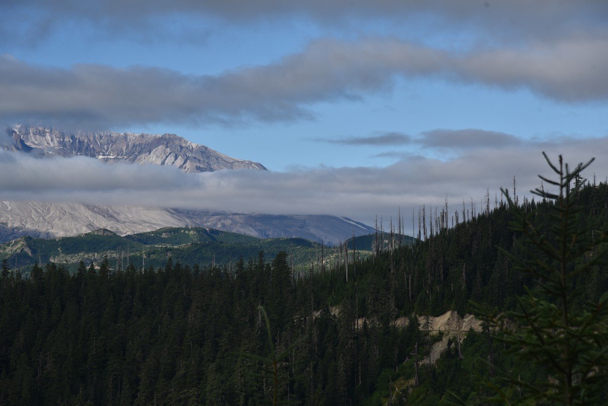 dsc_9656_fs.jpg