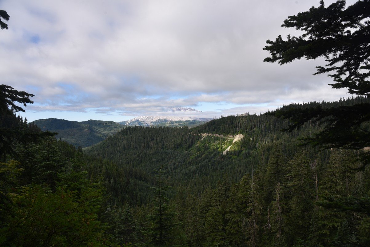 dsc_9662_fs.jpg