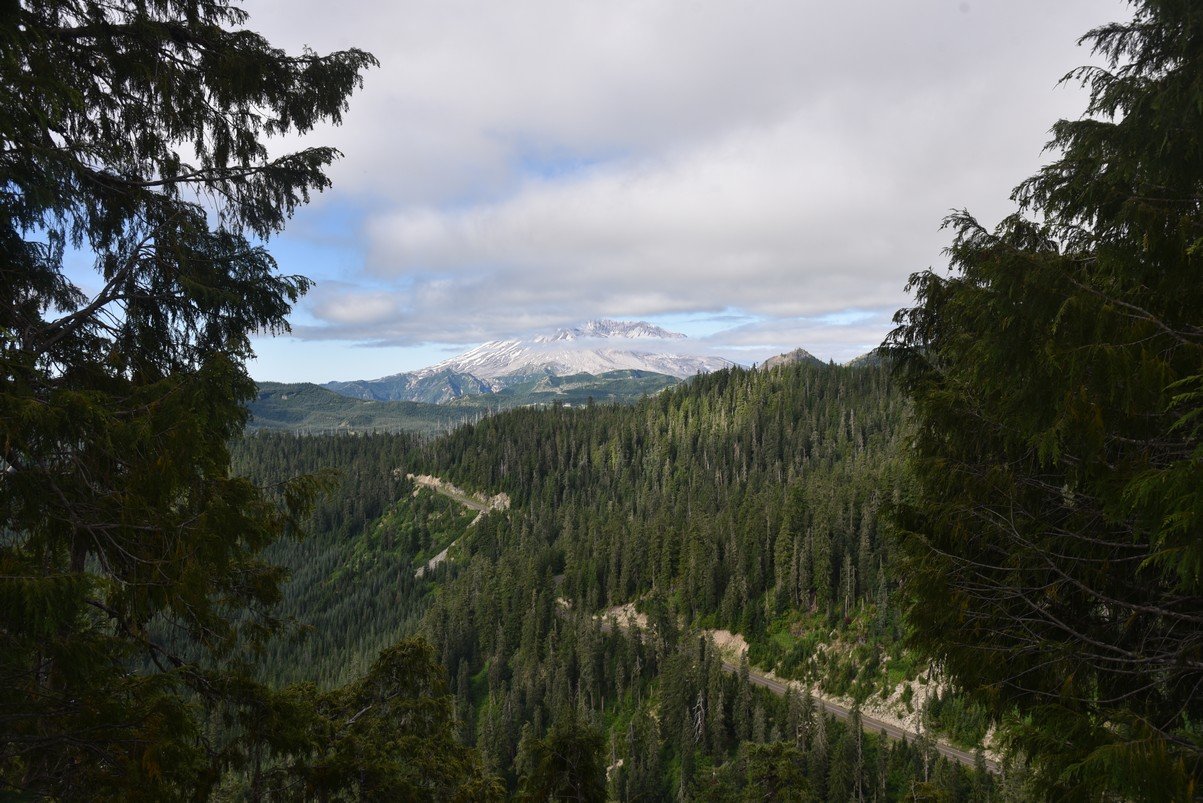 dsc_9677_fs.jpg
