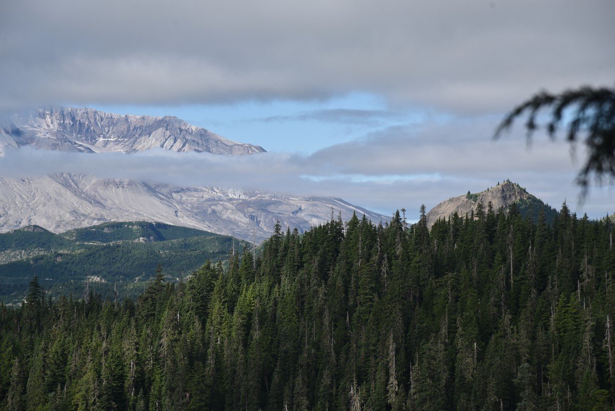 dsc_9680_fs.jpg