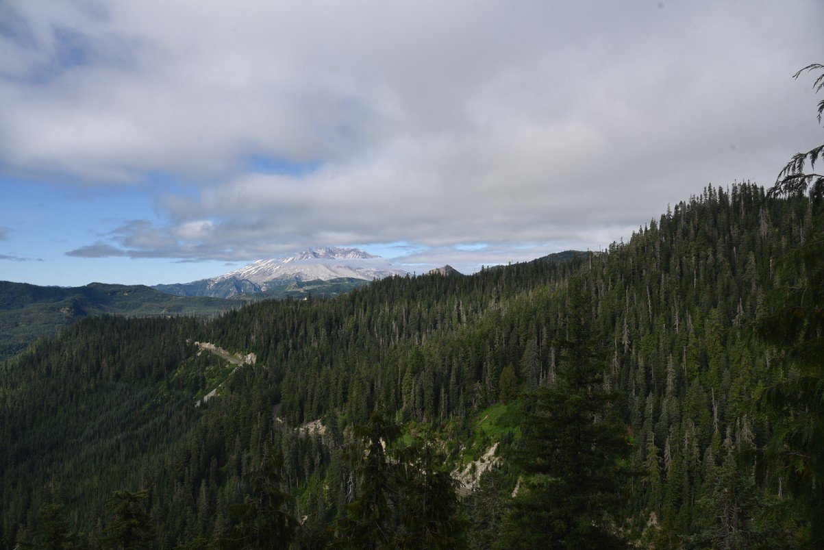 dsc_9682_fs.jpg