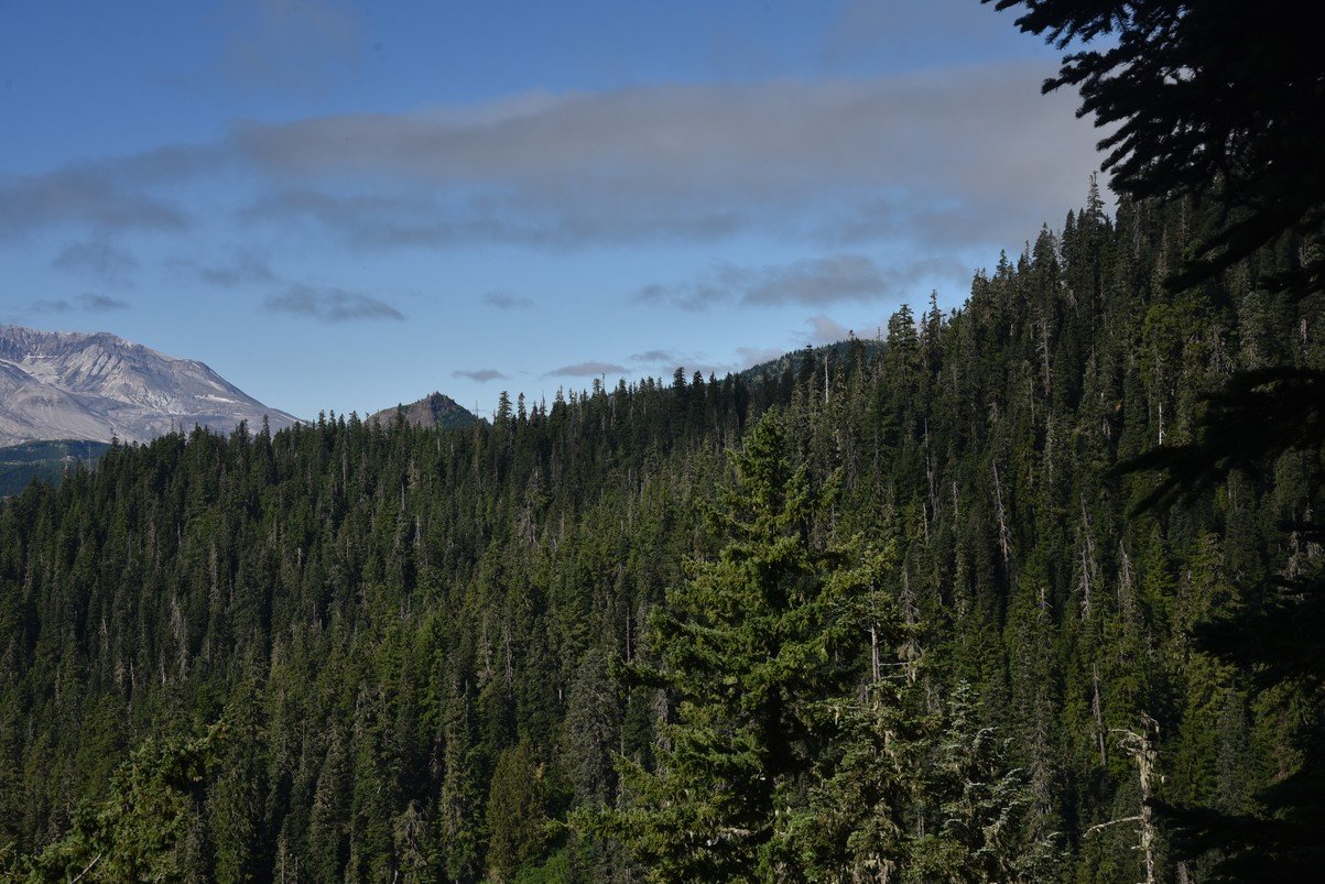 dsc_9701_fs.jpg