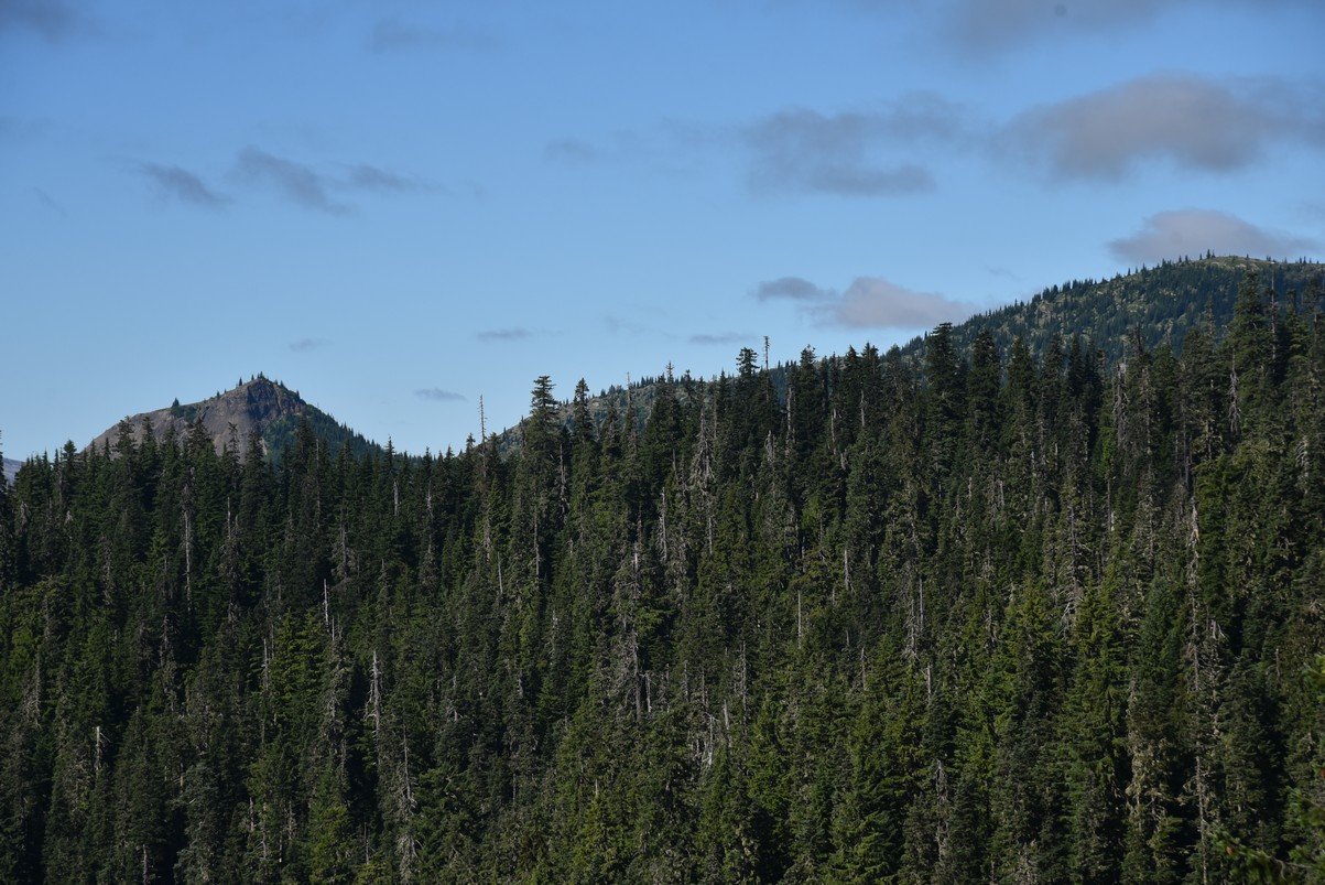 dsc_9708_fs.jpg