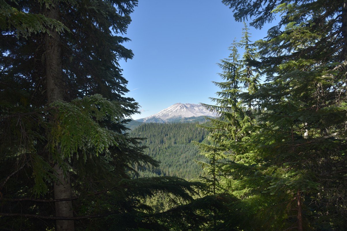 dsc_9712_fs.jpg