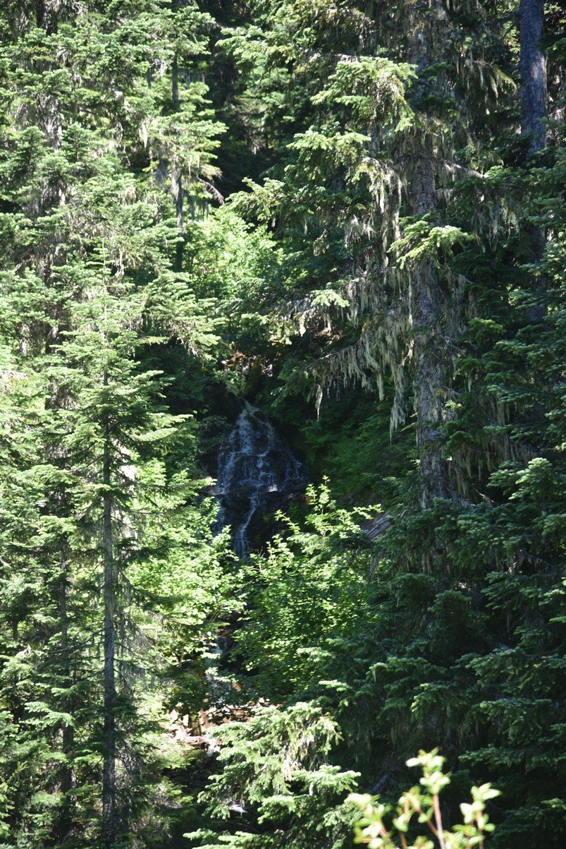dsc_9734_fs.jpg