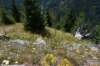 dsc_9746_fs_small.jpg
