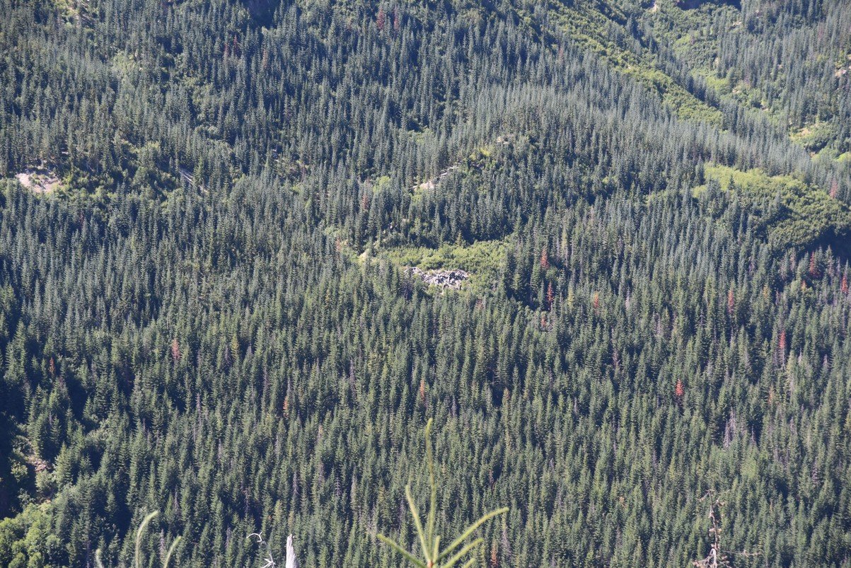 dsc_9748_fs.jpg