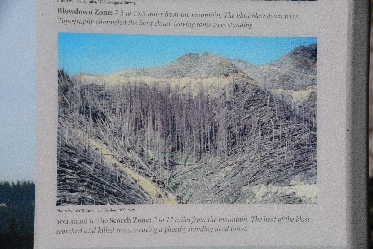 dsc_9755_fs.jpg