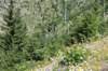 dsc_9765_fs_small.jpg