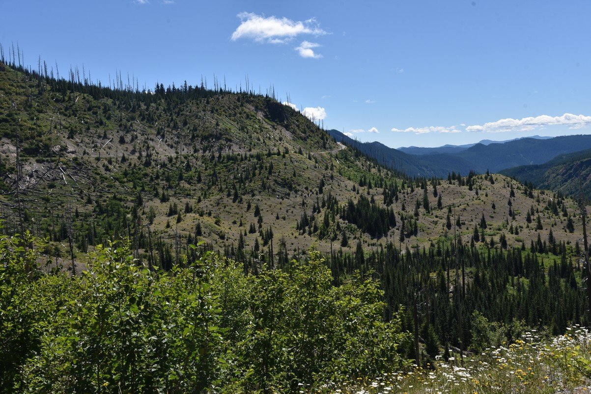 dsc_9771_fs.jpg