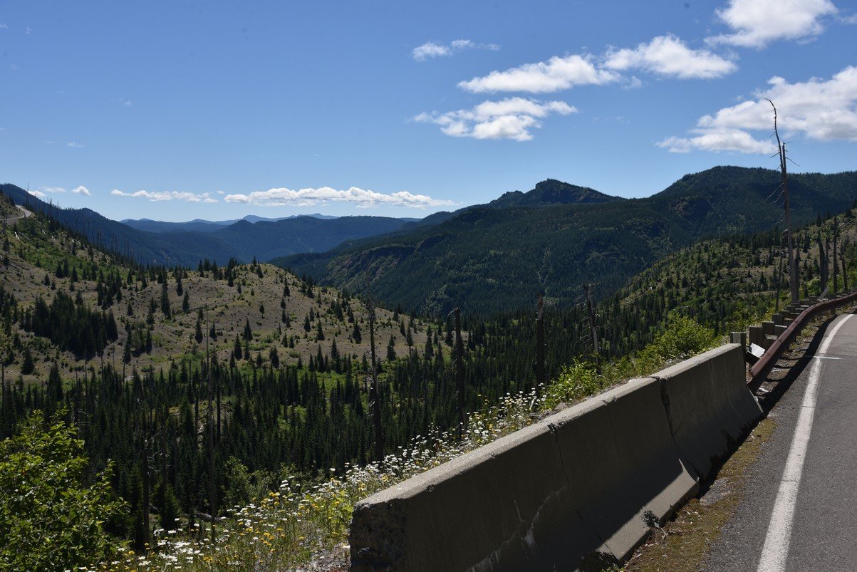 dsc_9772_fs.jpg