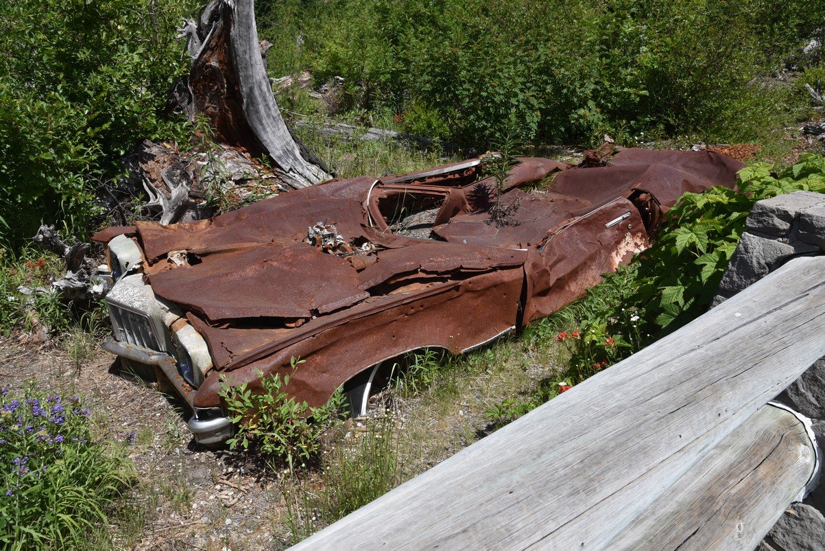 dsc_9787_fs.jpg